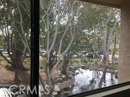 251 Pineview Irvine, CA 92620 - Photo 25 of 54 a view of a tree in the yard