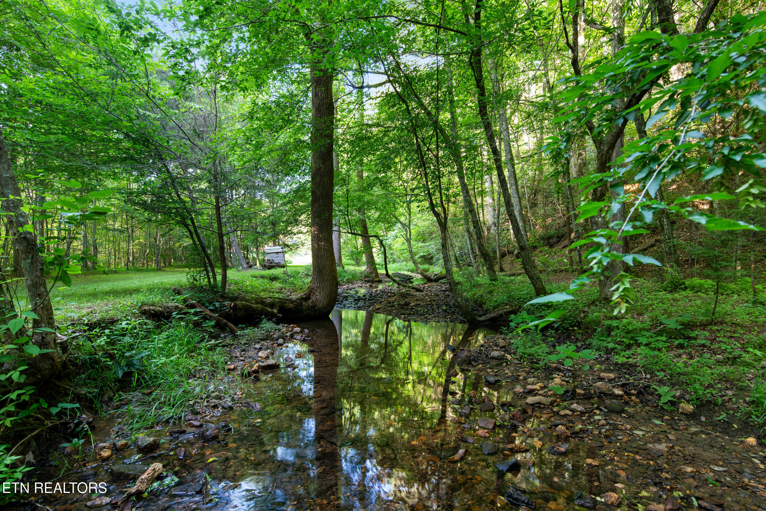 610 Towee Falls Road Tellico Plains, TN 37385 - Photo 56 of 60 610 towee falls rd-74