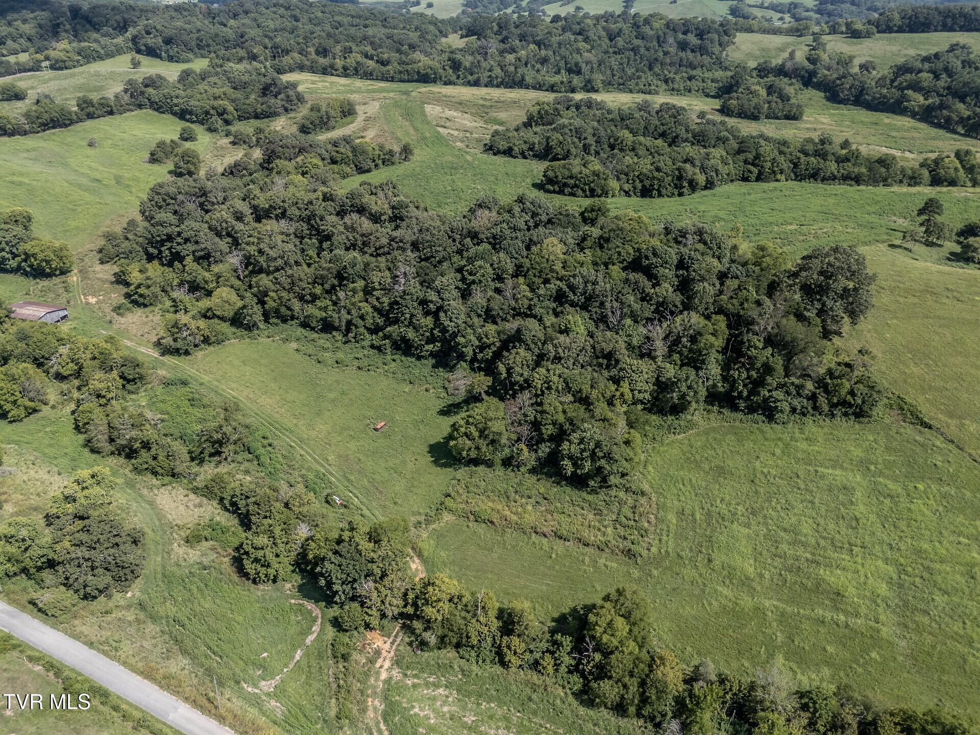 1410 Timber Ridge Road Greeneville, TN 37743 - Photo 12 of 46 thumbnail_1410TimberRidgeG_011