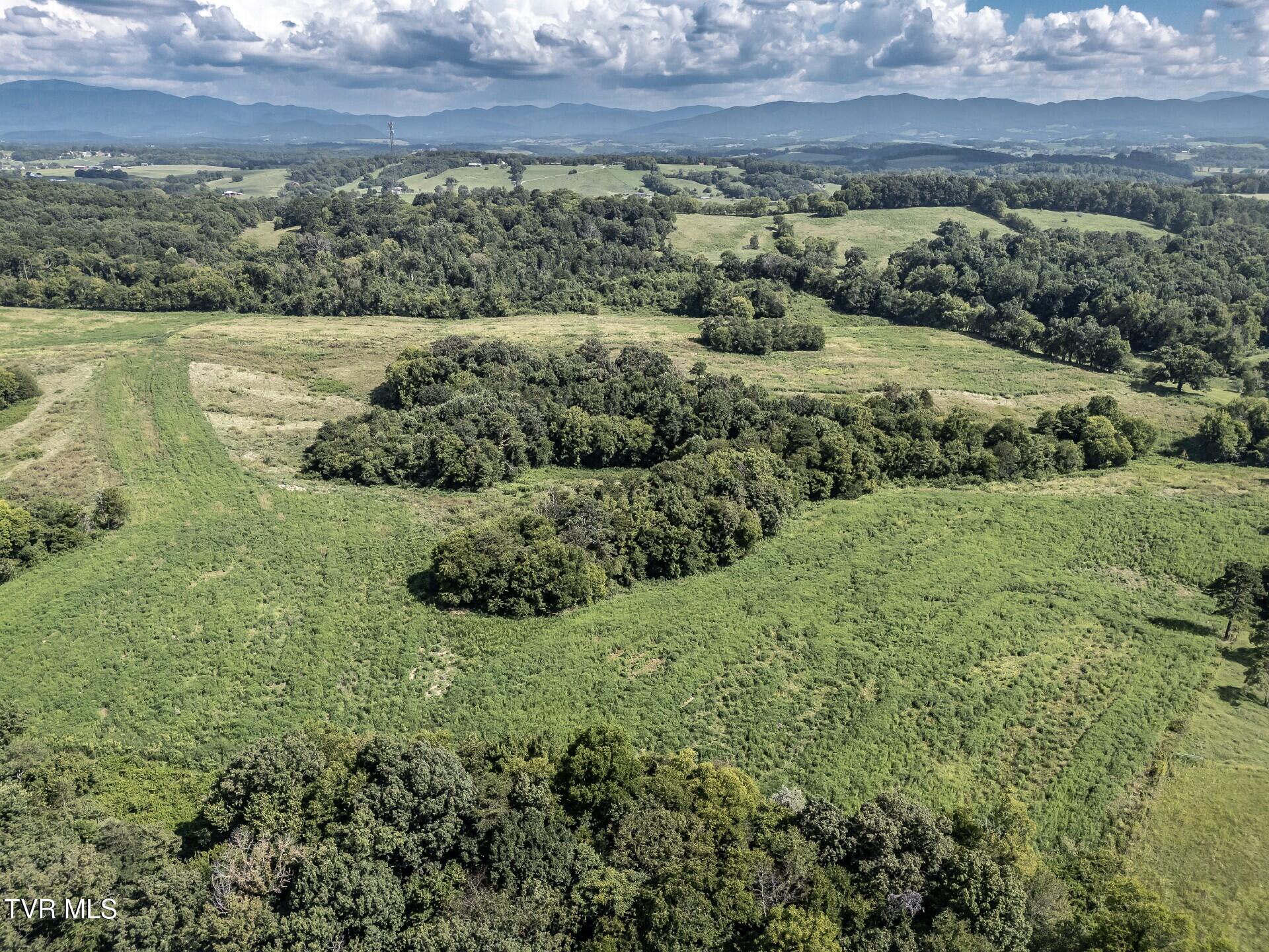 1410 Timber Ridge Road Greeneville, TN 37743 - Photo 13 of 46 thumbnail_1410TimberRidgeG_012