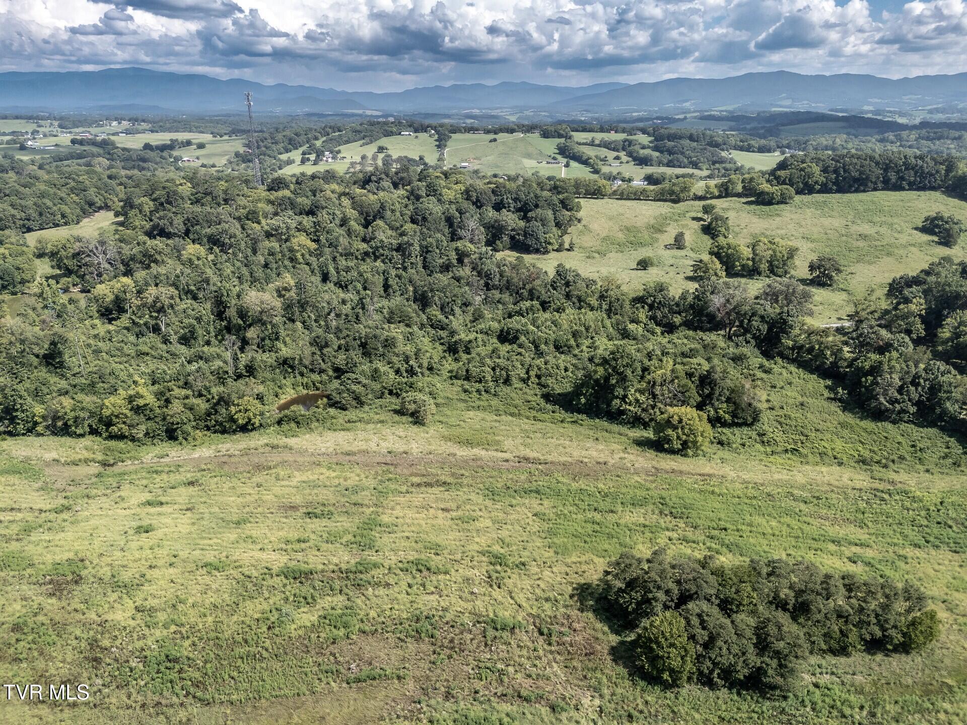 1410 Timber Ridge Road Greeneville, TN 37743 - Photo 15 of 46 thumbnail_1410TimberRidgeG_014