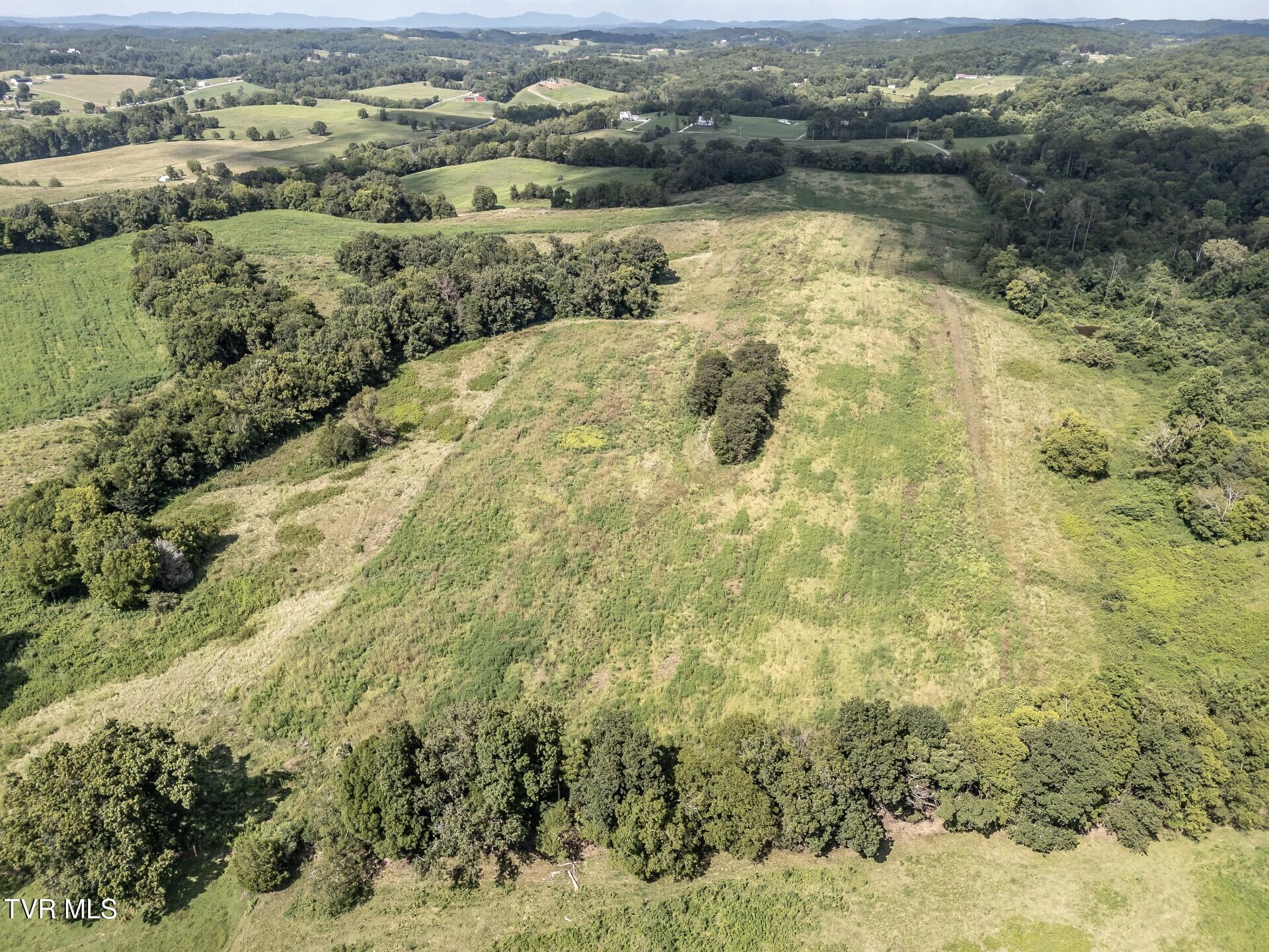 1410 Timber Ridge Road Greeneville, TN 37743 - Photo 16 of 46 thumbnail_1410TimberRidgeG_020