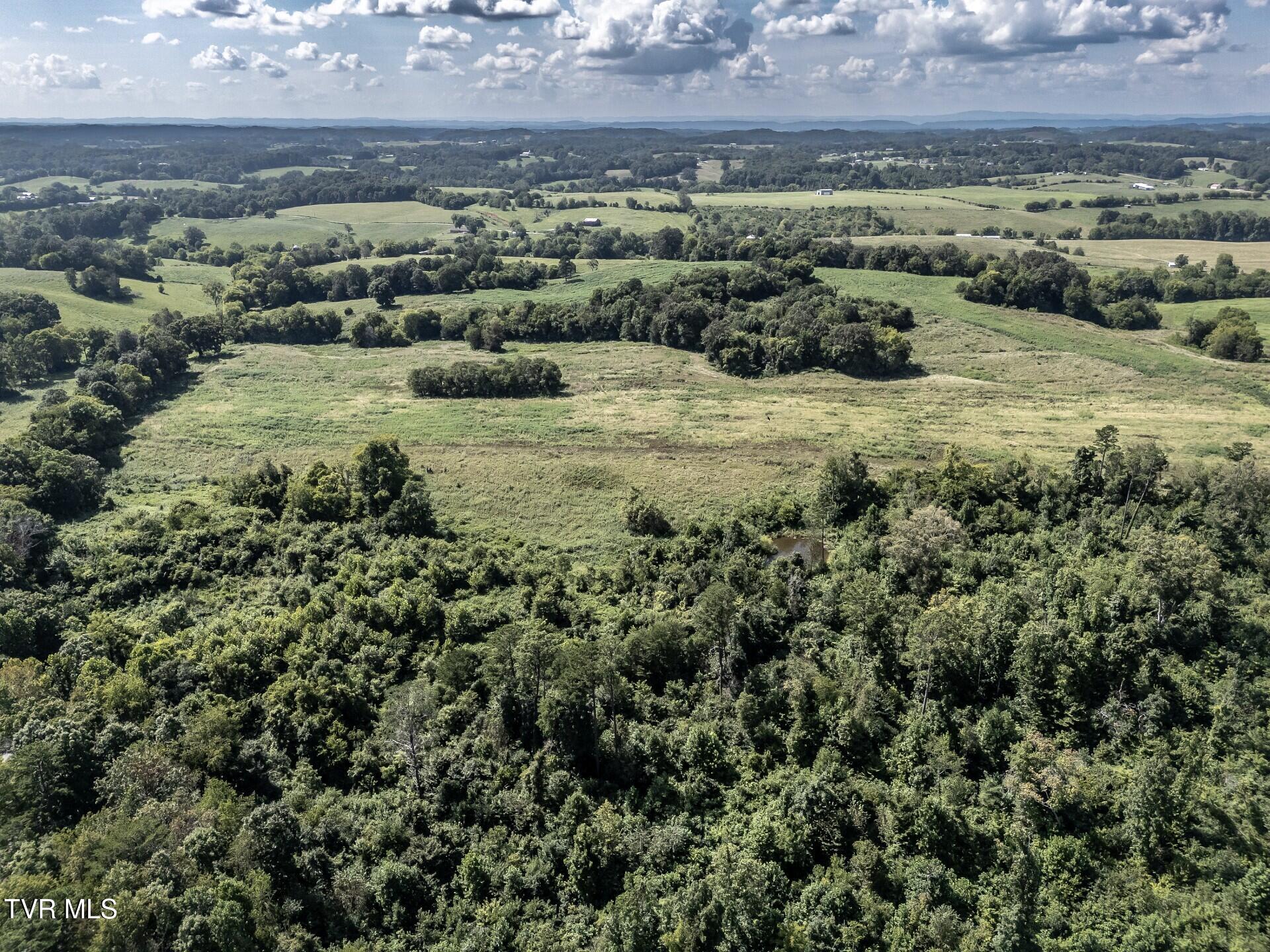 1410 Timber Ridge Road Greeneville, TN 37743 - Photo 17 of 46 thumbnail_1410TimberRidgeG_015