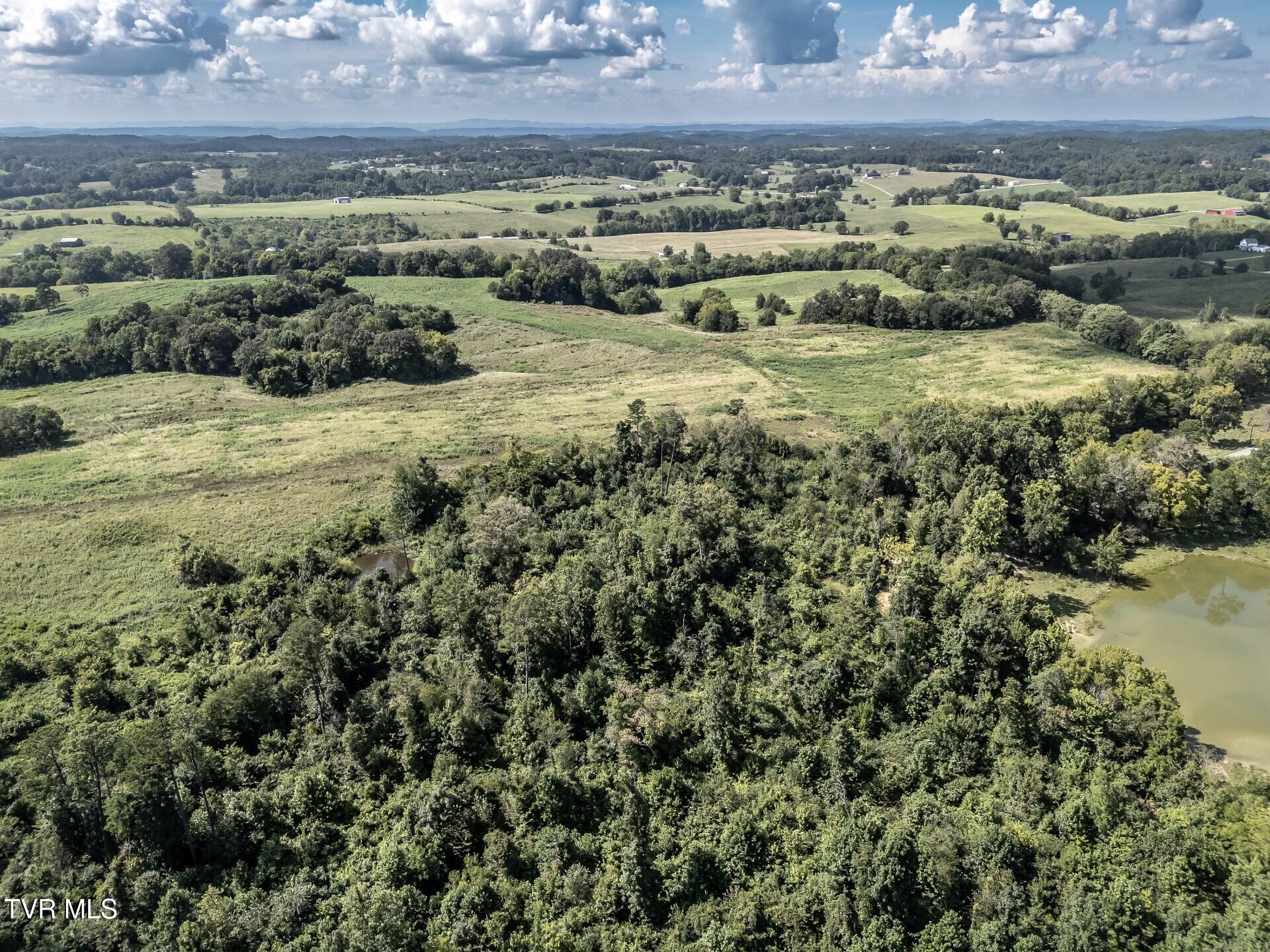 1410 Timber Ridge Road Greeneville, TN 37743 - Photo 18 of 46 thumbnail_1410TimberRidgeG_016