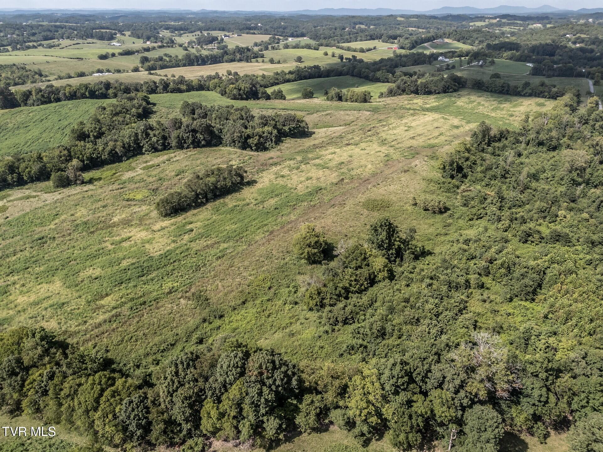 1410 Timber Ridge Road Greeneville, TN 37743 - Photo 19 of 46 thumbnail_1410TimberRidgeG_017