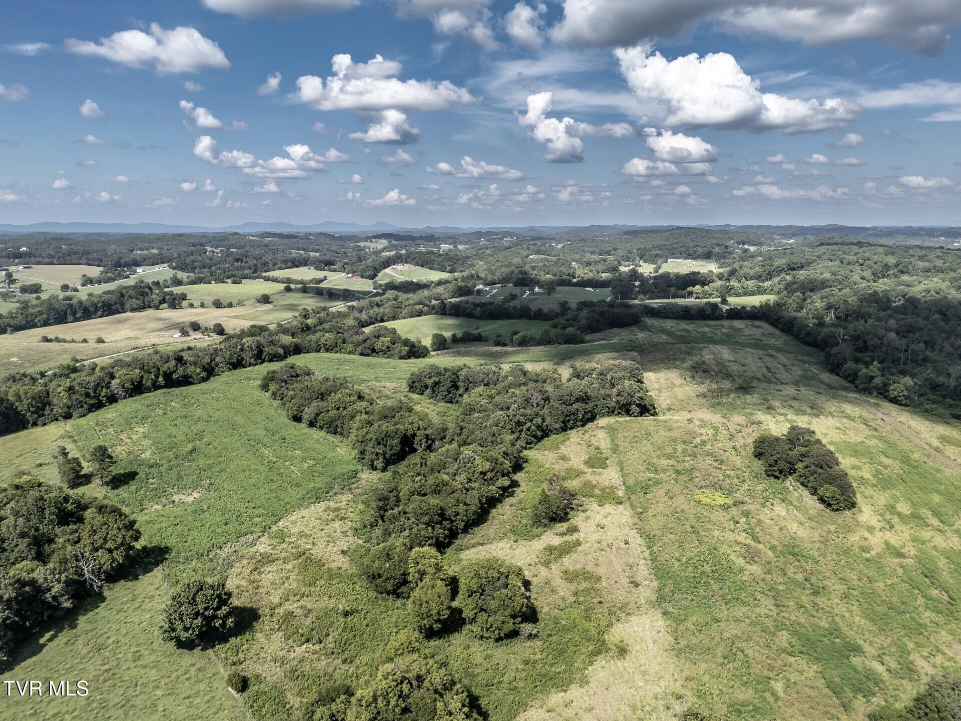 1410 Timber Ridge Road Greeneville, TN 37743 - Photo 20 of 46 thumbnail_1410TimberRidgeG_021