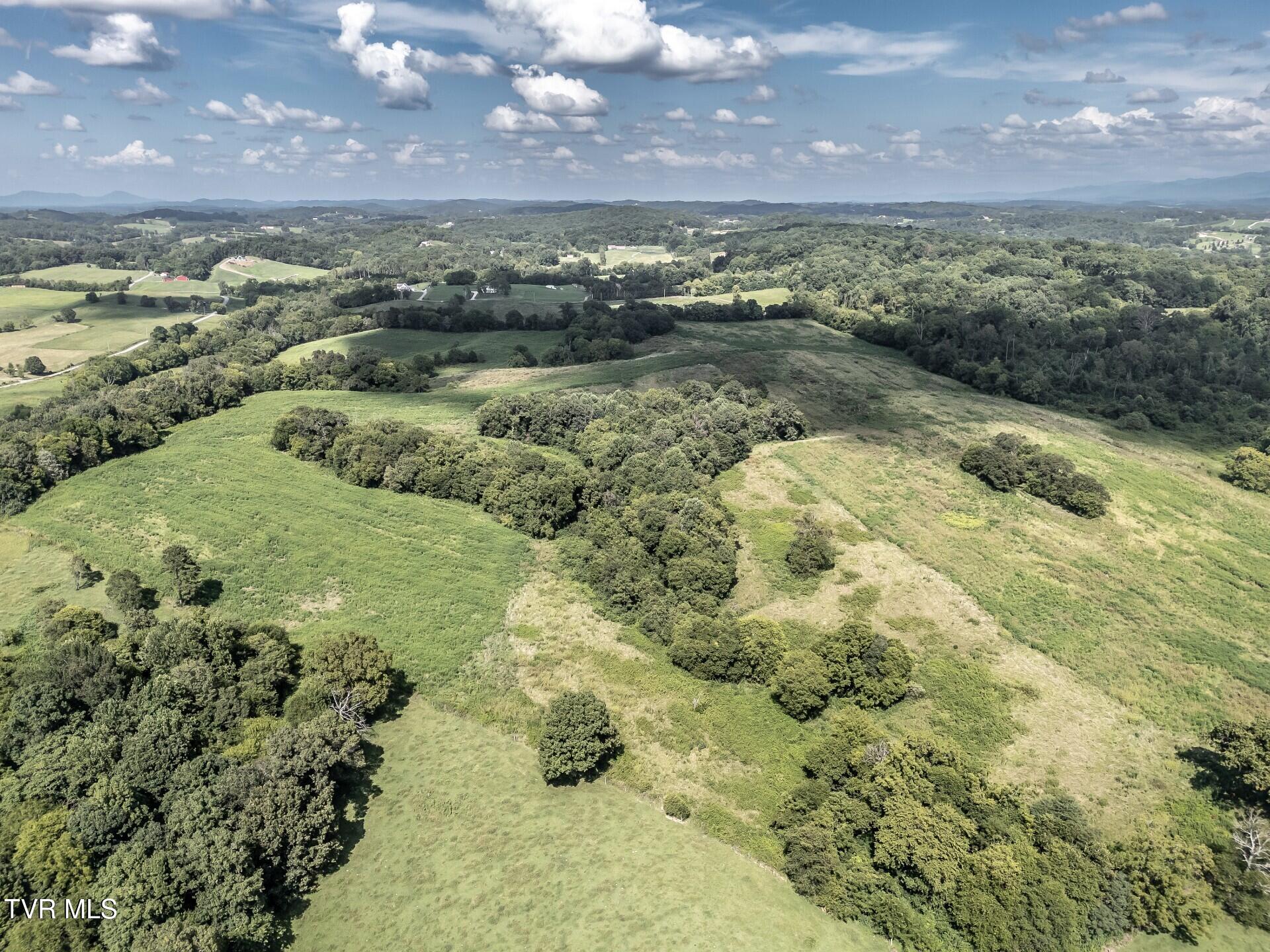 1410 Timber Ridge Road Greeneville, TN 37743 - Photo 21 of 46 thumbnail_1410TimberRidgeG_022