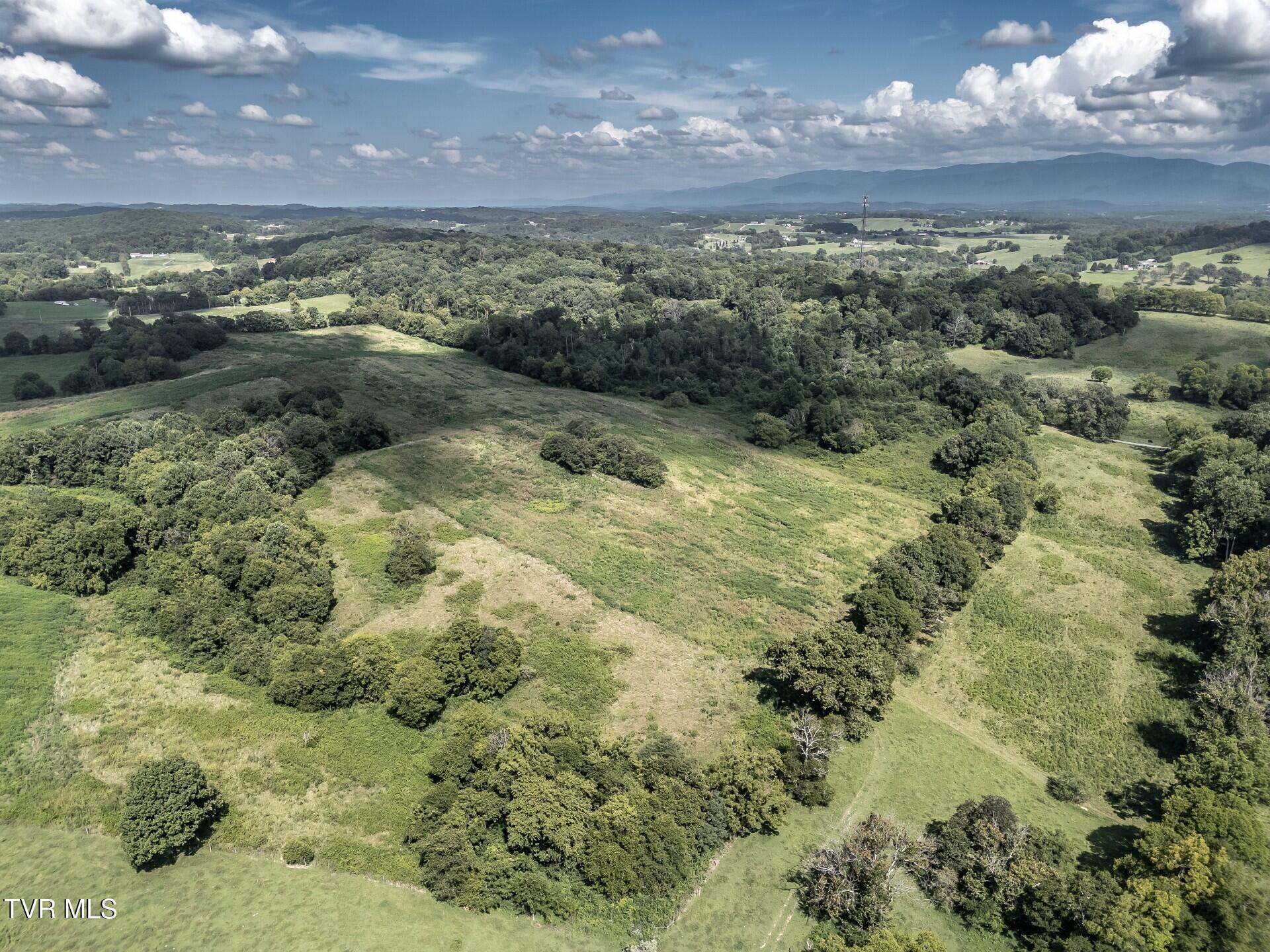 1410 Timber Ridge Road Greeneville, TN 37743 - Photo 22 of 46 thumbnail_1410TimberRidgeG_023
