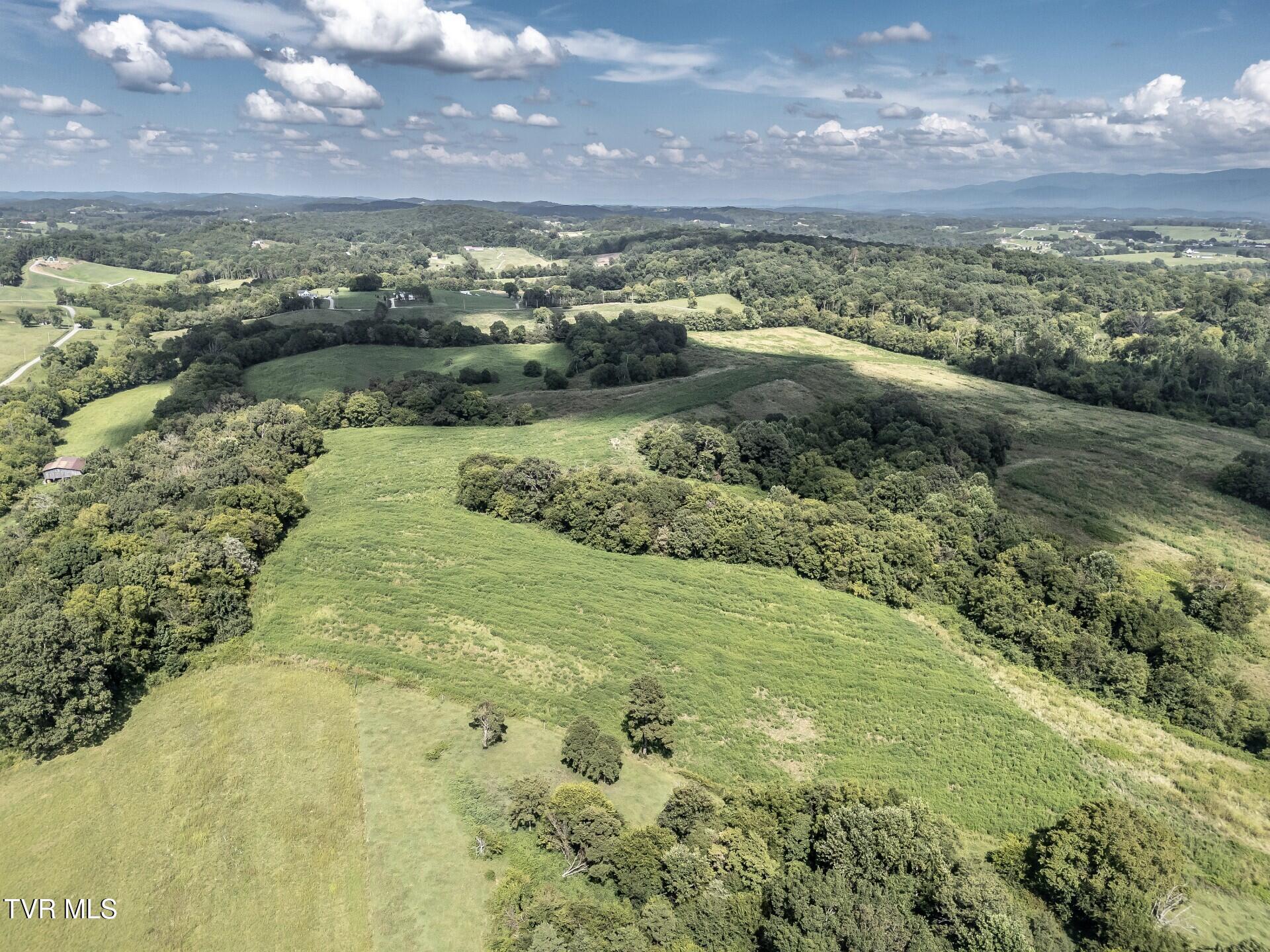 1410 Timber Ridge Road Greeneville, TN 37743 - Photo 23 of 46 thumbnail_1410TimberRidgeG_024