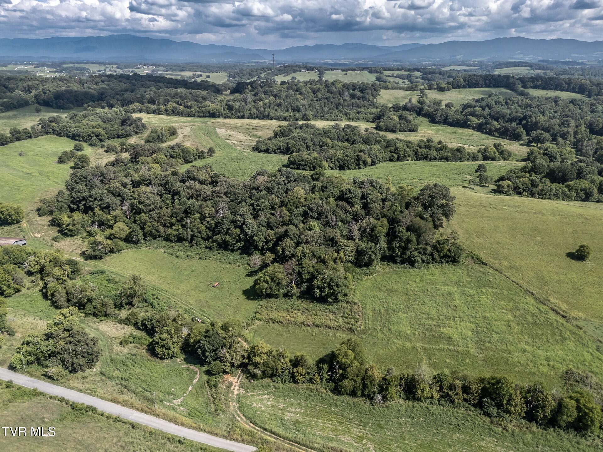 1410 Timber Ridge Road Greeneville, TN 37743 - Photo 29 of 46 thumbnail_1410TimberRidgeG_034