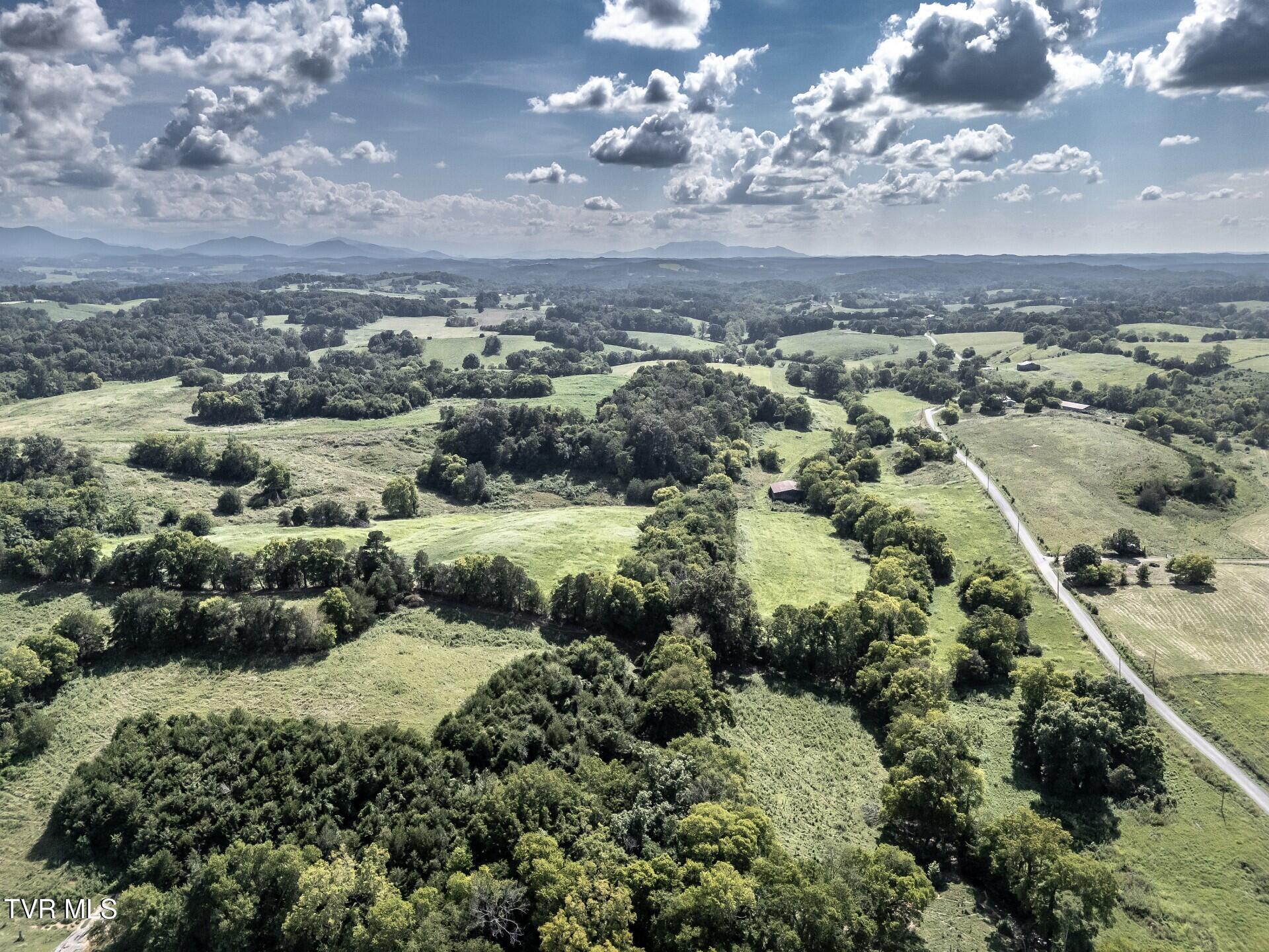 1410 Timber Ridge Road Greeneville, TN 37743 - Photo 31 of 46 thumbnail_1410TimberRidgeG_038
