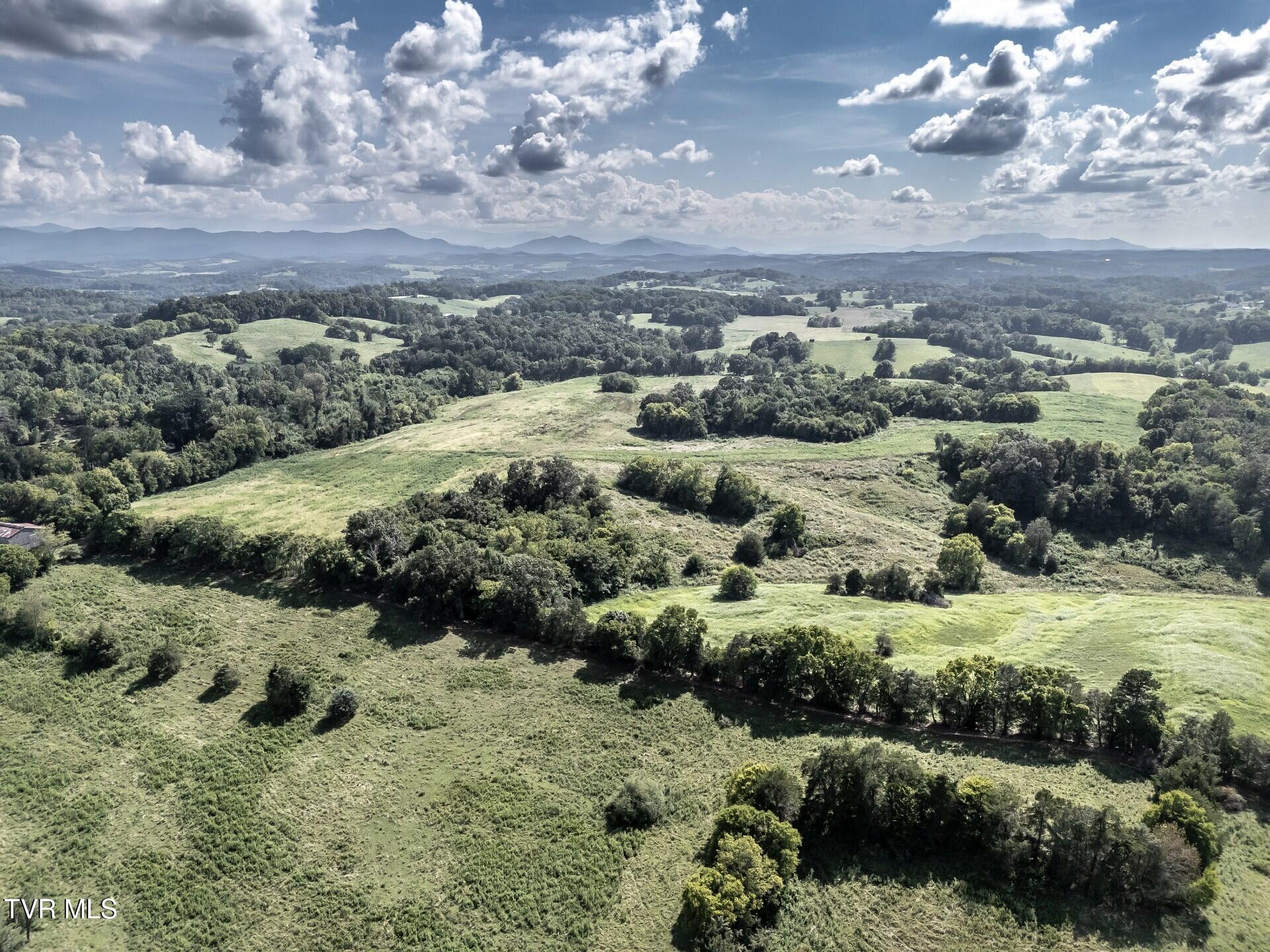 1410 Timber Ridge Road Greeneville, TN 37743 - Photo 33 of 46 thumbnail_1410TimberRidgeG_040
