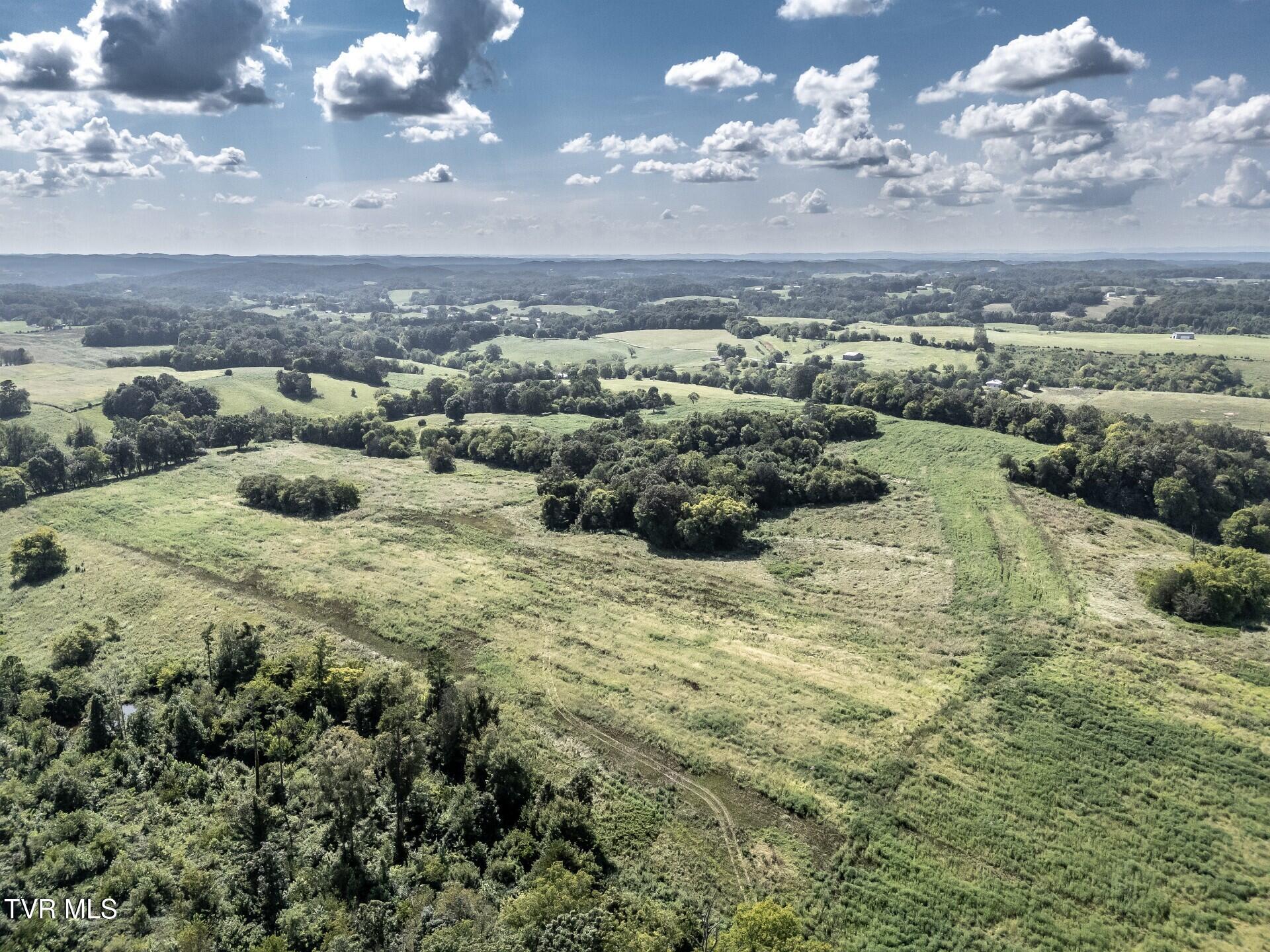 1410 Timber Ridge Road Greeneville, TN 37743 - Photo 35 of 46 thumbnail_1410TimberRidgeG_044
