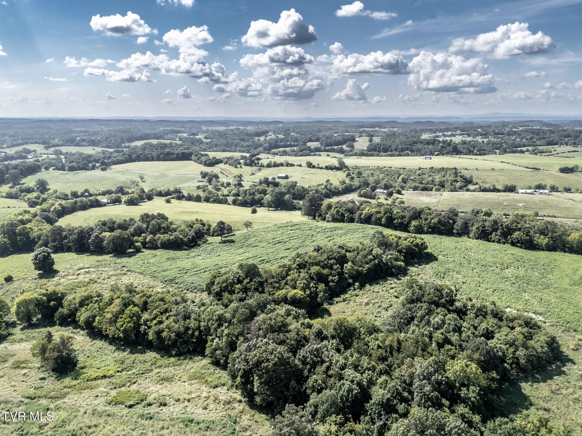 1410 Timber Ridge Road Greeneville, TN 37743 - Photo 36 of 46 thumbnail_1410TimberRidgeG_046