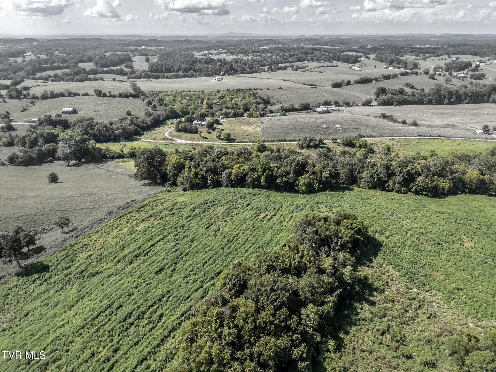 1410 Timber Ridge Road Greeneville, TN 37743 - Photo 37 of 46 thumbnail_1410TimberRidgeG_048