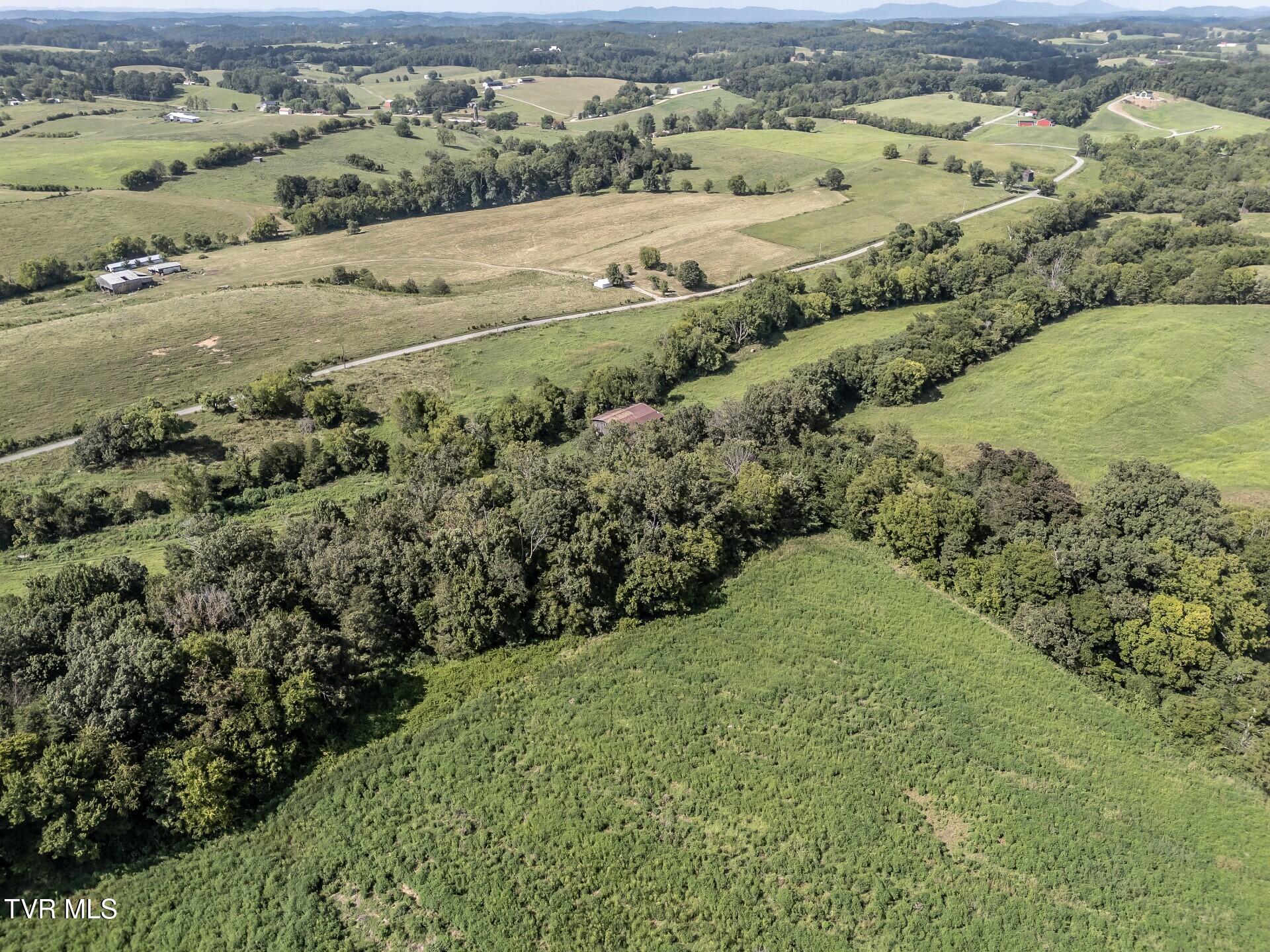 1410 Timber Ridge Road Greeneville, TN 37743 - Photo 38 of 46 thumbnail_1410TimberRidgeG_049