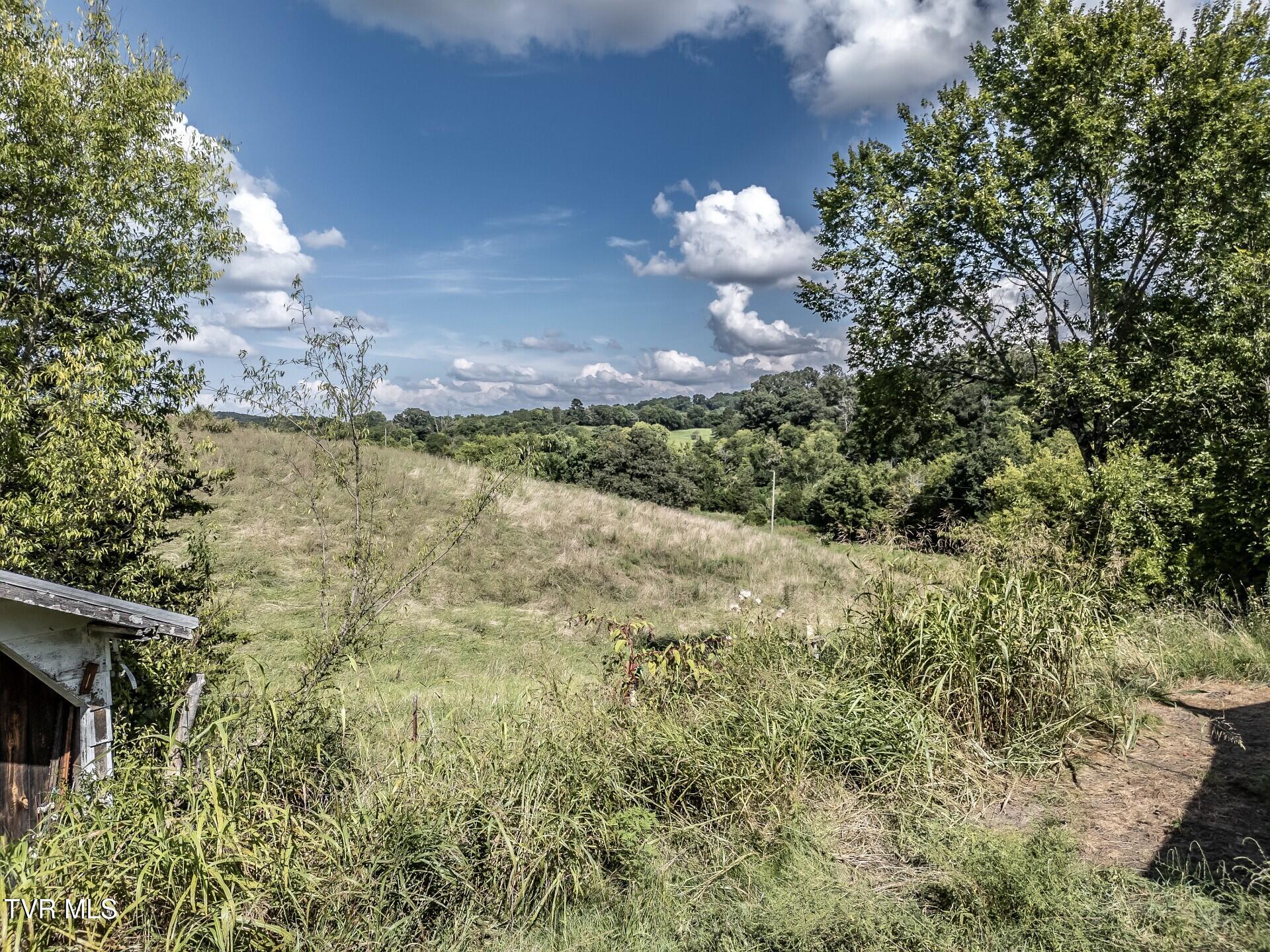 1410 Timber Ridge Road Greeneville, TN 37743 - Photo 46 of 46 thumbnail_1410TimberRidgeG_059