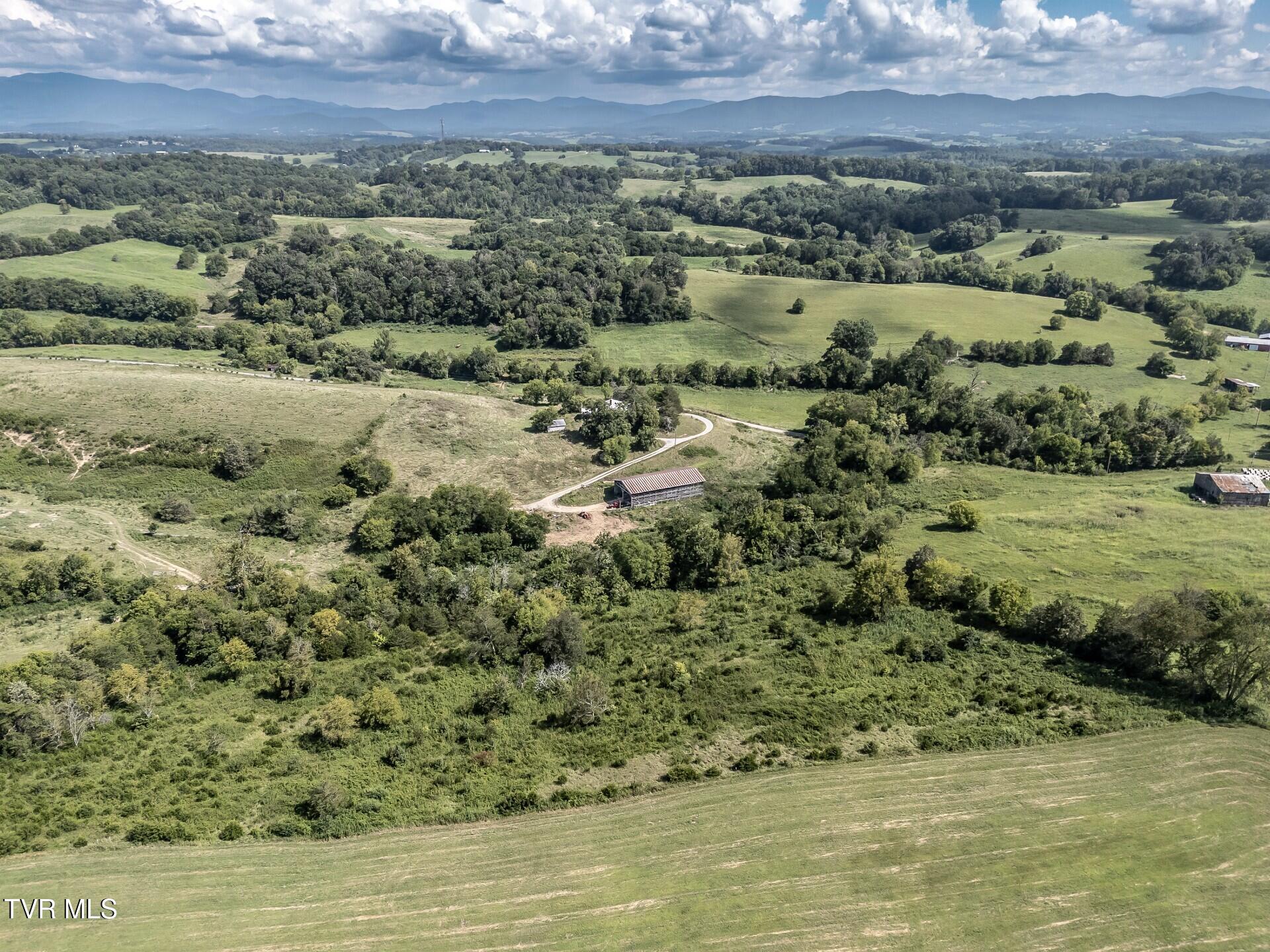 1410 Timber Ridge Road Greeneville, TN 37743 - Photo 6 of 46 thumbnail_1410TimberRidgeG_004
