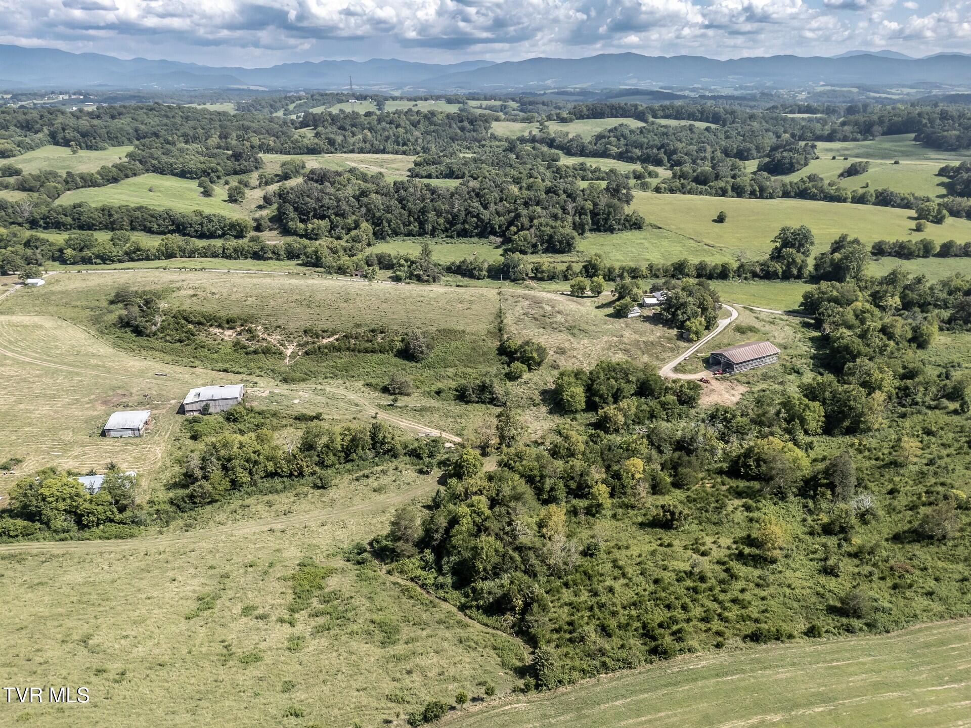 1410 Timber Ridge Road Greeneville, TN 37743 - Photo 8 of 46 thumbnail_1410TimberRidgeG_006