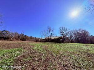 Sims Thornhill Road Tylertown, MS 39667 - Photo 5 of 17 mmrp5