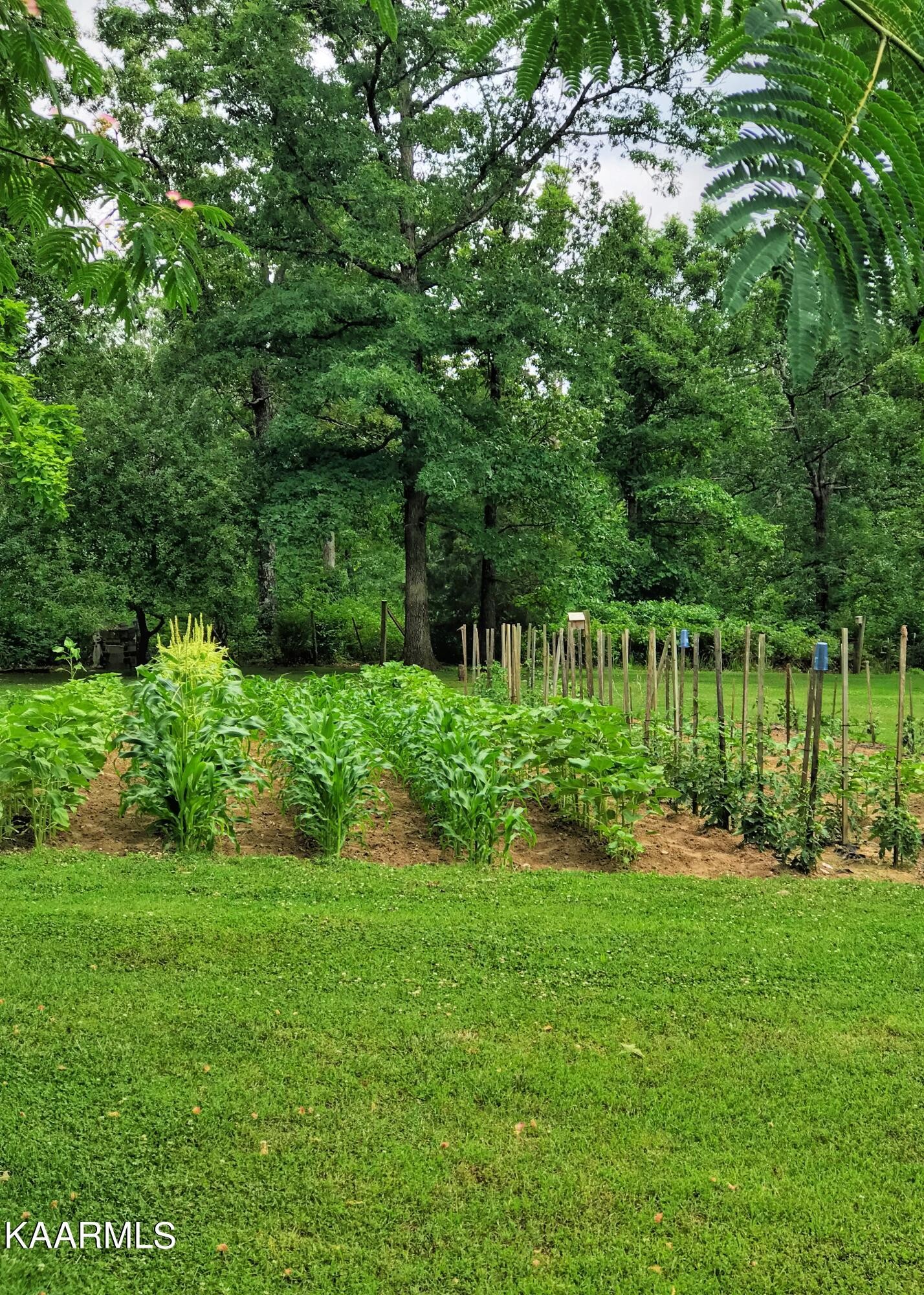 31 Randy Road Crossville, TN 38572 - Photo 25 of 39 Gallery Image 25