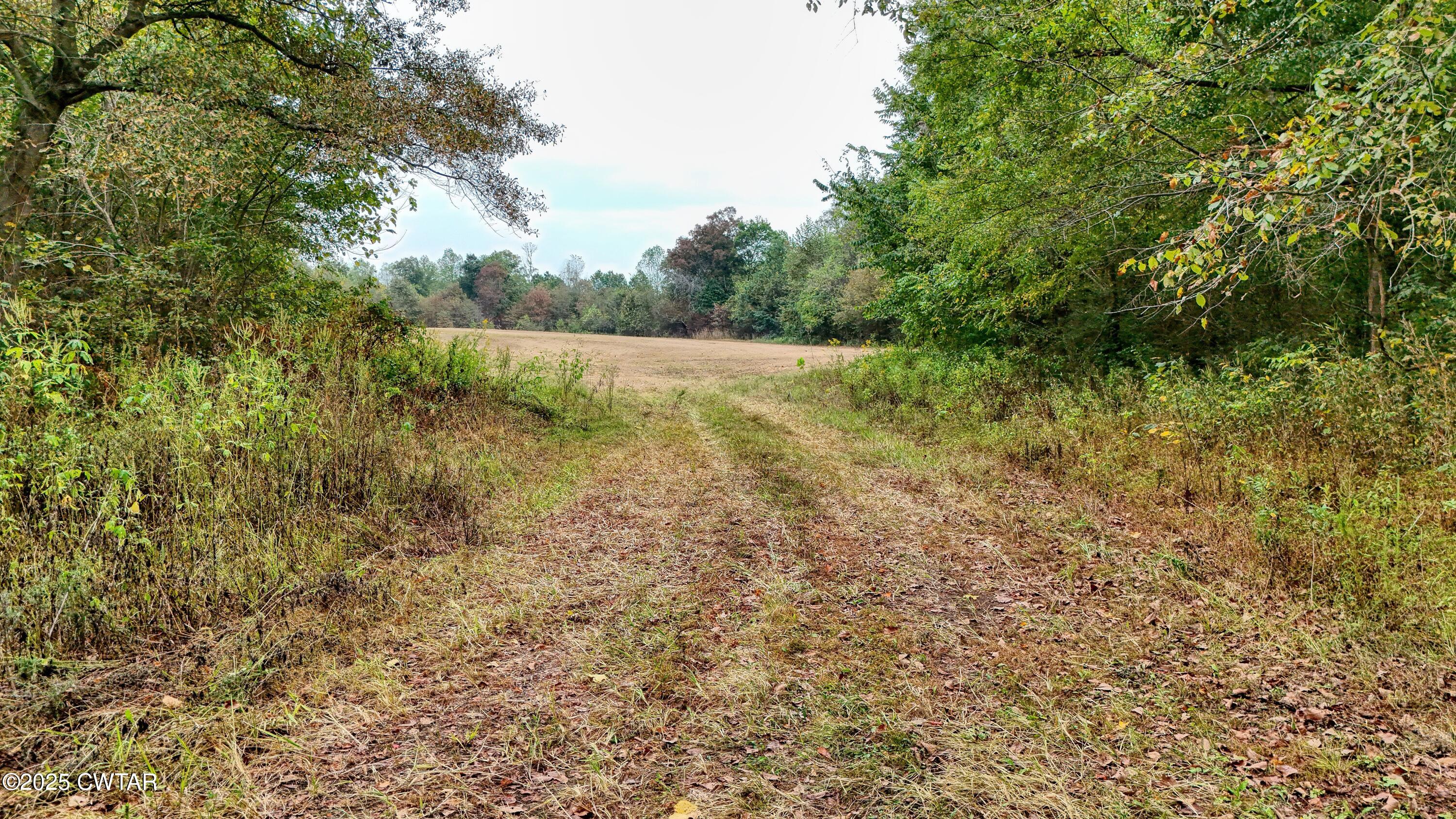 0 Tn-200 Huron, TN 38345 - Photo 3 of 13 a view of yard with green space and trees around