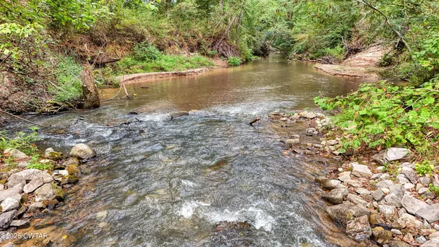 a view of a lake with a tree