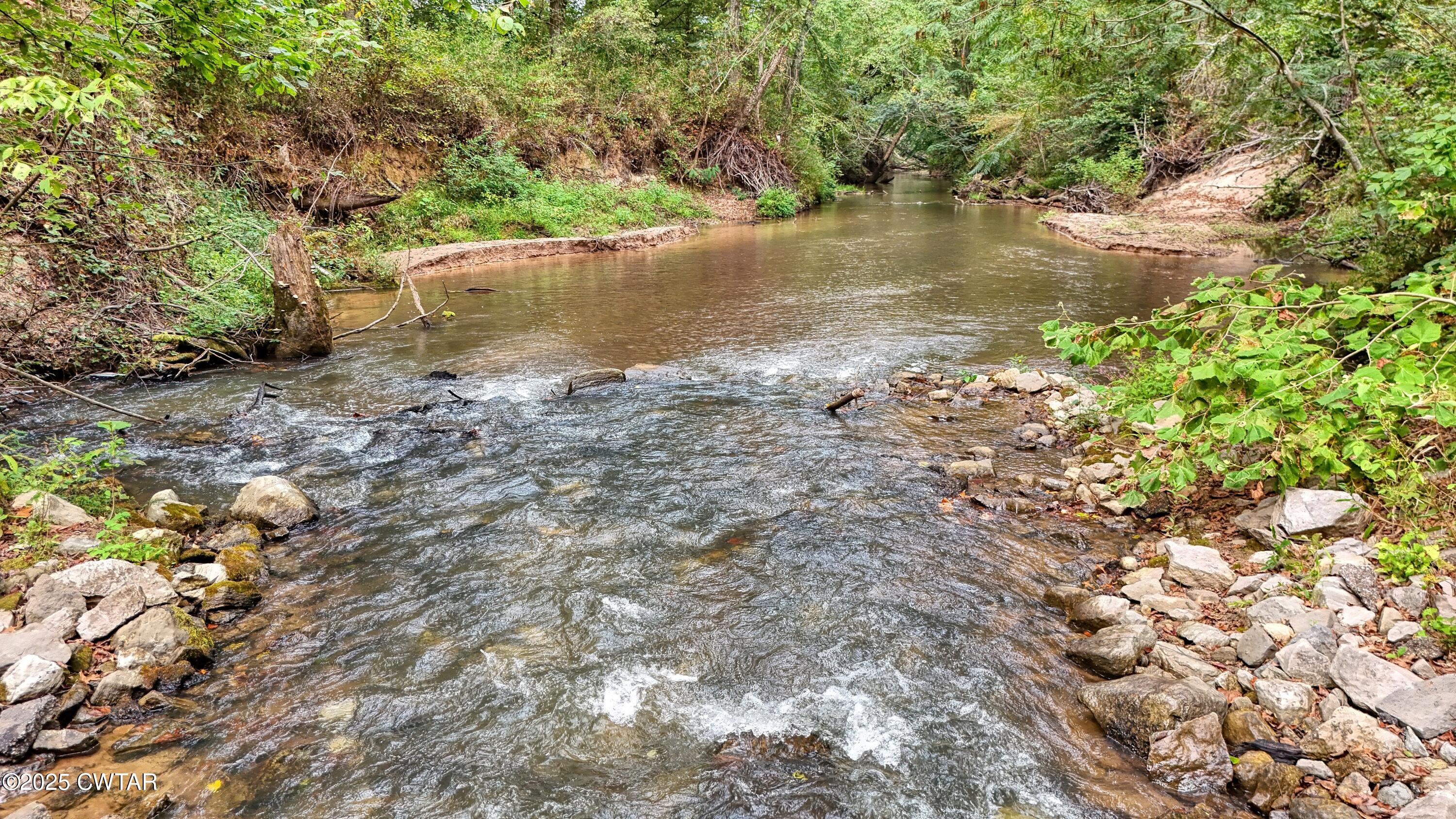 0 Tn-200 Huron, TN 38345 - Photo 8 of 13 a view of a lake with a tree
