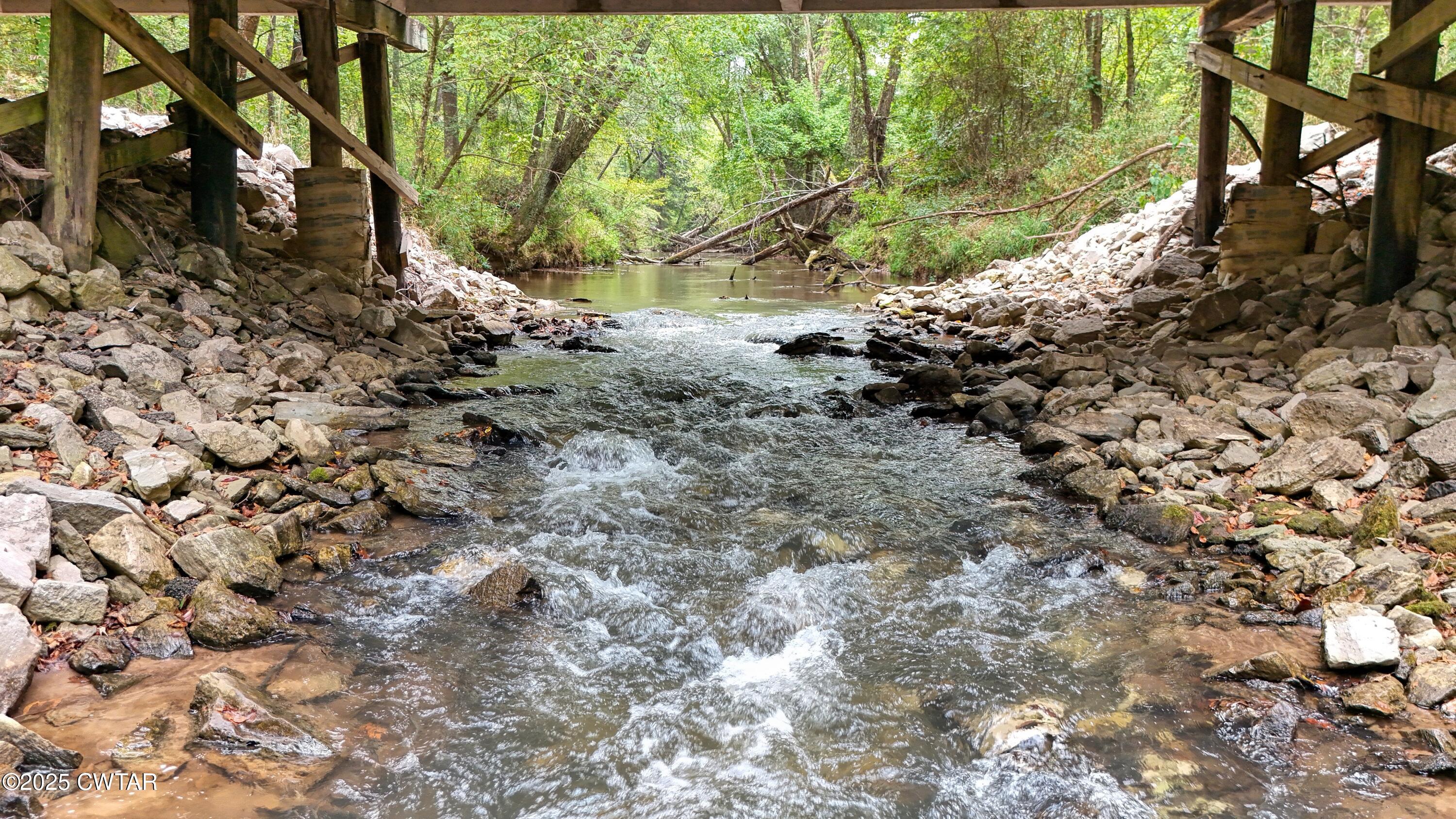 0 Tn-200 Huron, TN 38345 - Photo 9 of 13 a view of a yard with plants and large trees