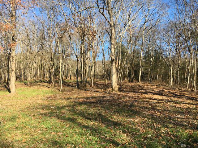 3360 Carter Branch Road Hartsville, TN 37074 - Photo 1 of 14 Just as you enter the wooded area