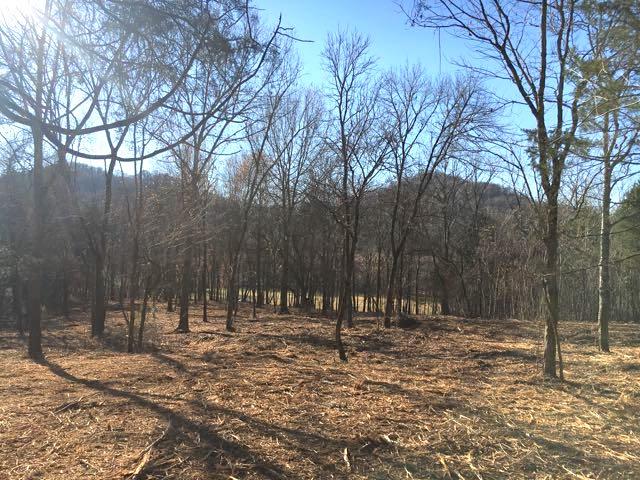 3360 Carter Branch Road Hartsville, TN 37074 - Photo 13 of 14 Put your home here and enjoy this view everyday!