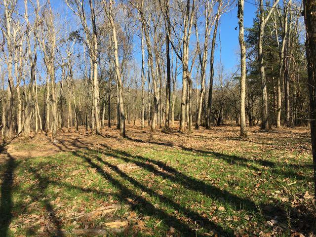 3360 Carter Branch Road Hartsville, TN 37074 - Photo 2 of 14 We took a mulching machine starting about here and cleaned up saplings, underbrush etc in a large area