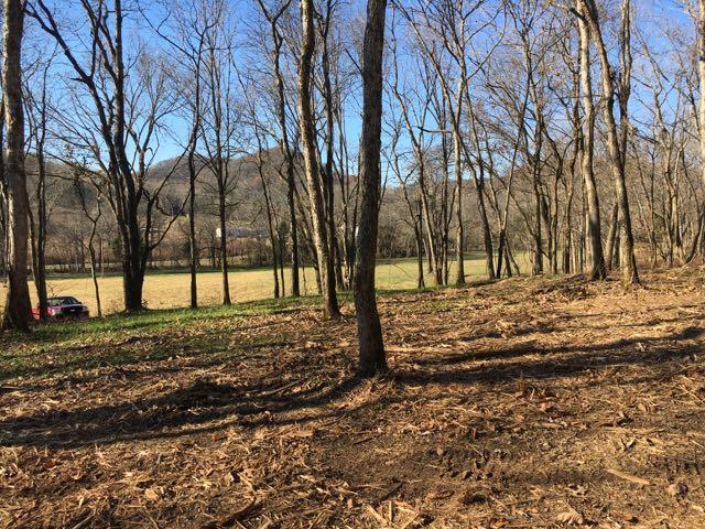 3360 Carter Branch Road Hartsville, TN 37074 - Photo 3 of 14 From a couple hundred feet into the wooded ares looking back toward the road
