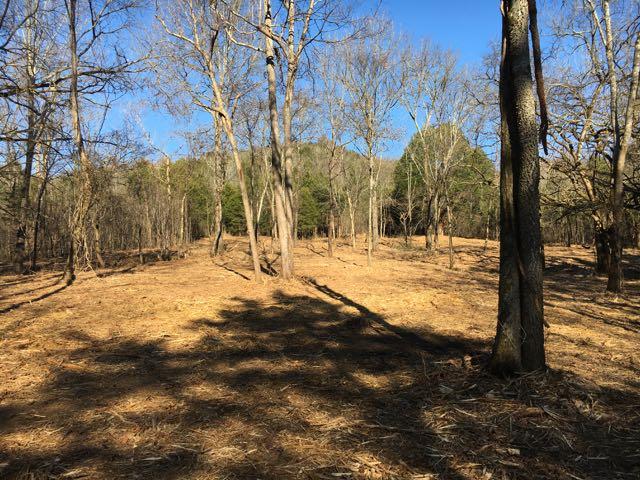 3360 Carter Branch Road Hartsville, TN 37074 - Photo 6 of 14 There are numerous choices for where to put your home!