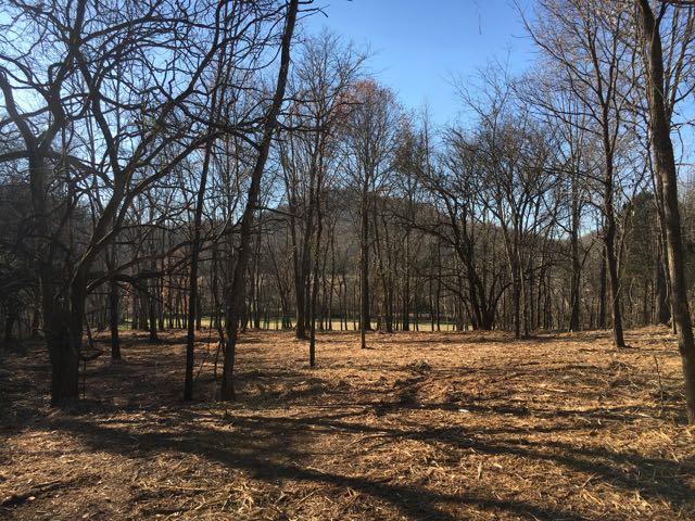 3360 Carter Branch Road Hartsville, TN 37074 - Photo 8 of 14 Such an awesome view!
