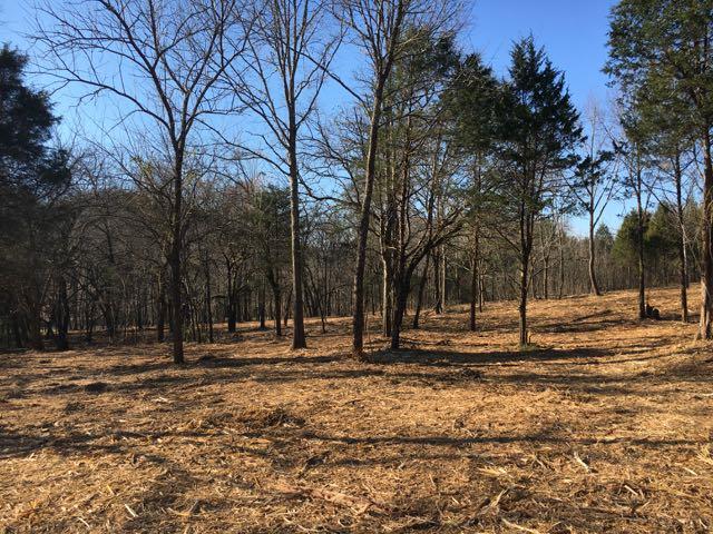 3360 Carter Branch Road Hartsville, TN 37074 - Photo 9 of 14 So pretty, every where you look!