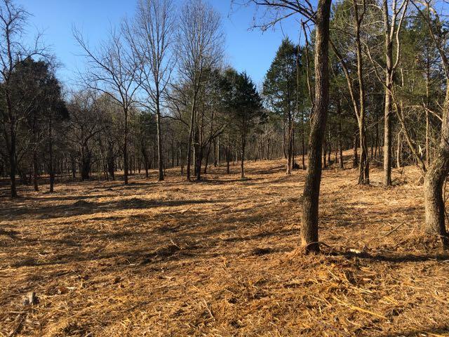 3360 Carter Branch Road Hartsville, TN 37074 - Photo 10 of 14 When you're walking back here all you can hear are the sounds of nature!
