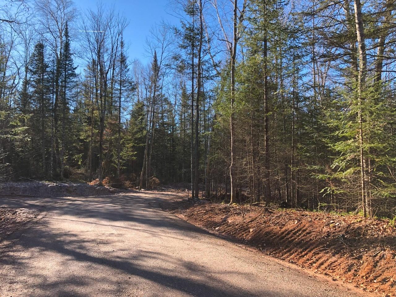 Off East Bay Road, Unit LOT 5 Presque Isle, WI 54557 - Photo 1 of 29 Gallery Image 1