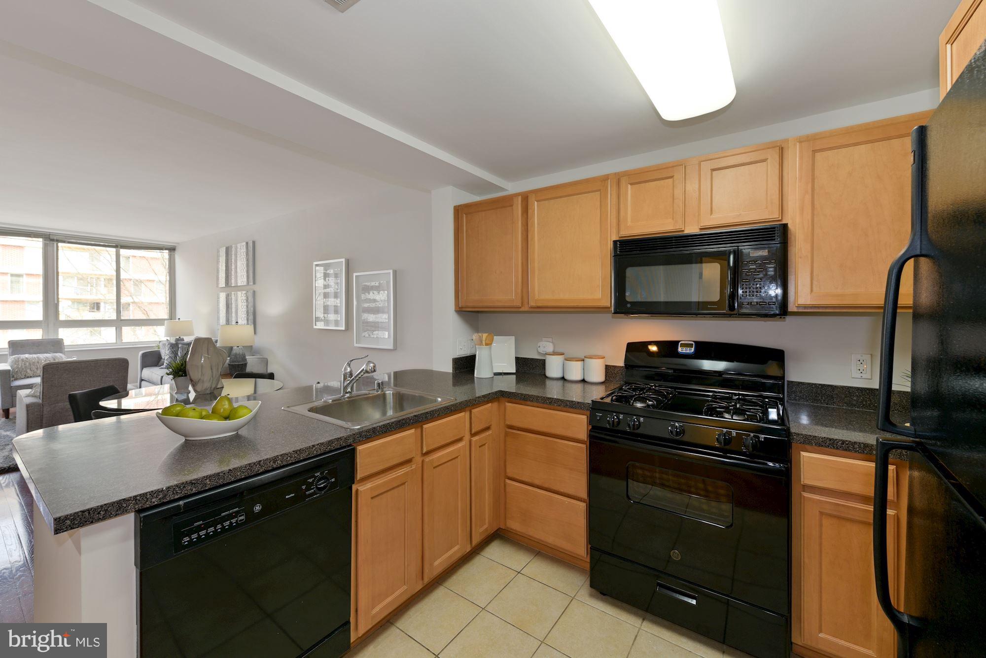 350 G Street Southwest, Unit N405 Washington, DC 20024 - Photo 10 of 27