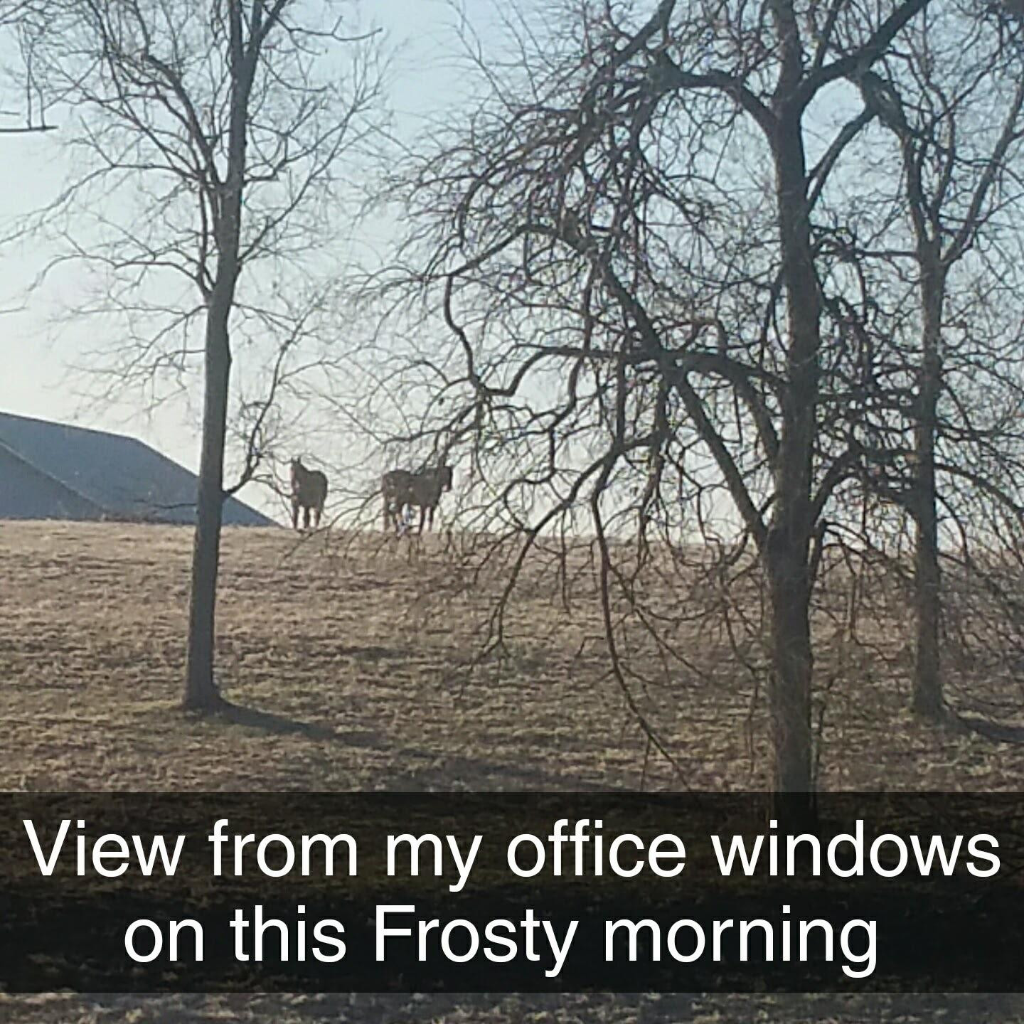 4170 Delaney Ferry Road Versailles, KY 40383 - Photo 21 of 22 Photo 21