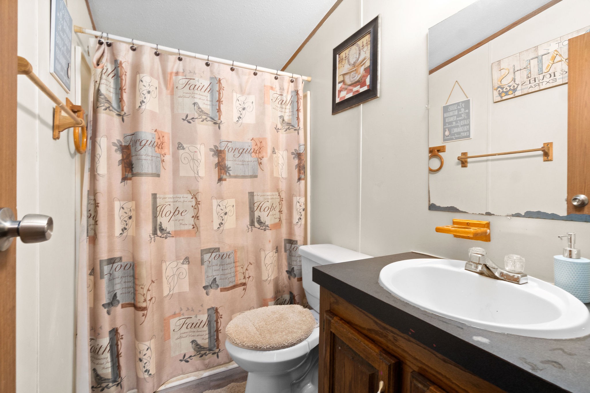 5820 Fred Perry Road Springfield, TN 37172 - Photo 27 of 33 a bathroom with a sink toilet a mirror and shower curtain