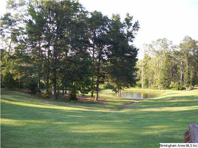 55 County Road 862 Clanton, AL 35045 - Photo 9 of 32