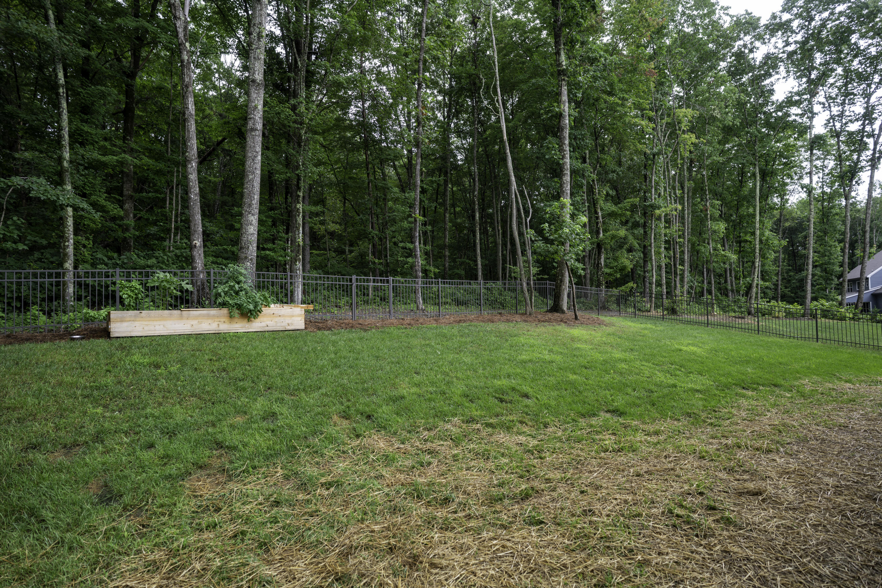 4933 Virginia Pine Road Signal Mountain, TN 37377 - Photo 35 of 40 Nice Fenced Yard