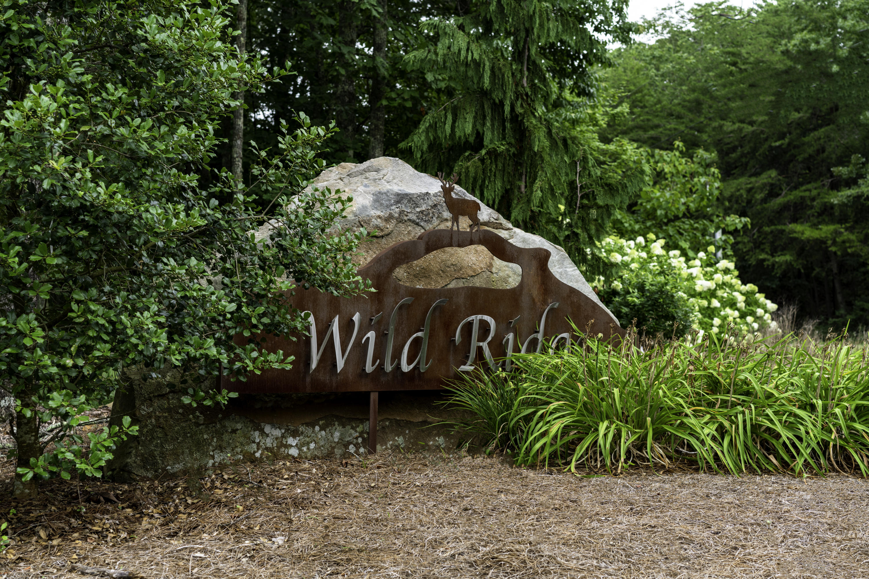 4933 Virginia Pine Road Signal Mountain, TN 37377 - Photo 40 of 40 Make Your Appointment to See Today!