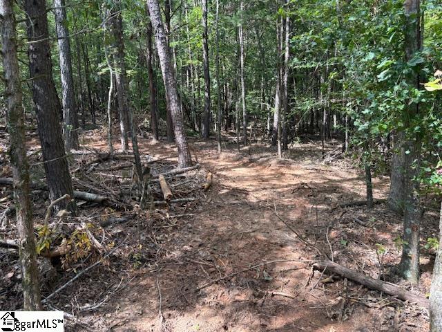 0 Ball Park Road Enoree, SC 29335 - Photo 2 of 5