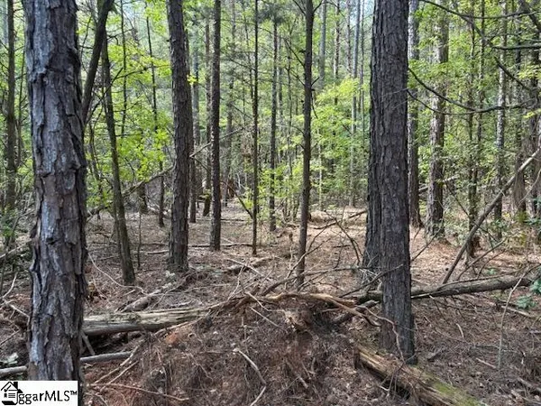 $140,000 | 0 Ball Park Road, Enoree, SC 29335