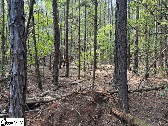 0 Ball Park Road Enoree, SC 29335 - Photo 4 of 5