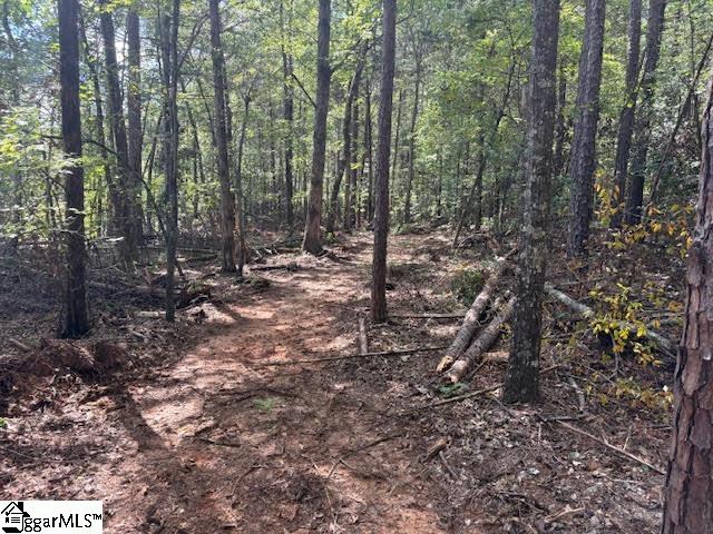 0 Ball Park Road Enoree, SC 29335 - Photo 5 of 5