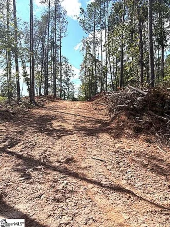 $140,000 | 0 Ball Park Road, Enoree, SC 29335