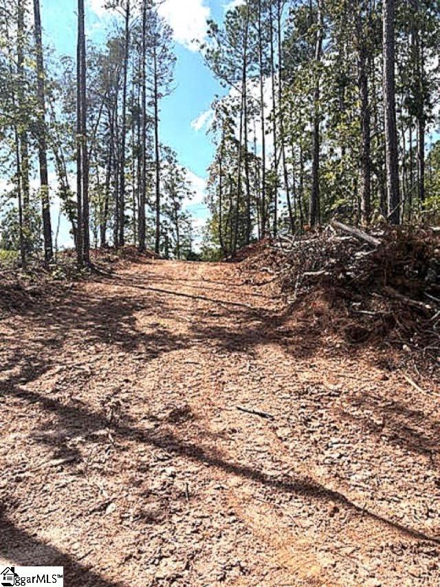 0 Ball Park Road Enoree, SC 29335 - Photo 7 of 7